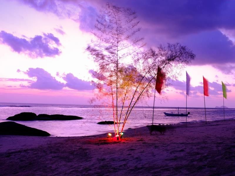 Thaniza Beachfront Resort Haad Rin Exterior foto